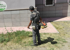 Çim Biçme Öncesi